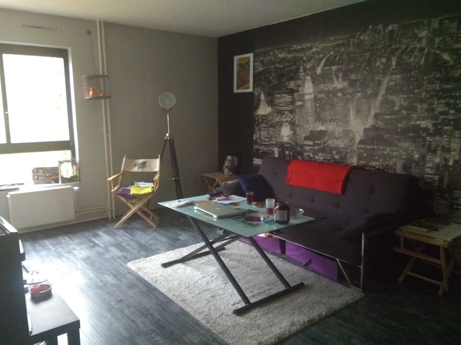 Salon possédant un canapé clic clac, avec table basse et TV.