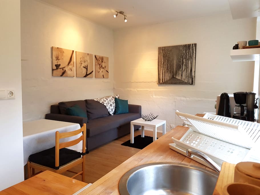 Comfortable pull-out couch, big enough for two adults