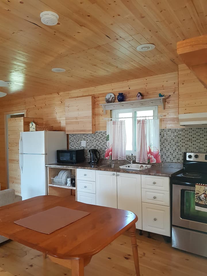 12 Best PetFriendly Cabin Rentals Near Lake Huron Updated 2024 Trip101