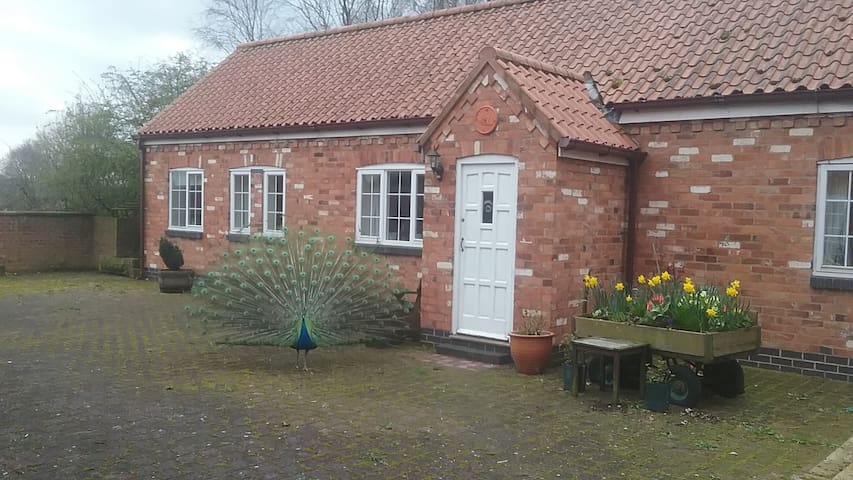 Quiet flat close to Prestwold & Loughborough