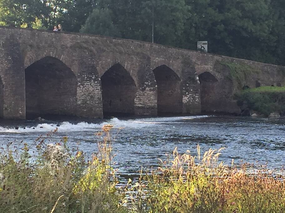 The bridge at Castle Meadows