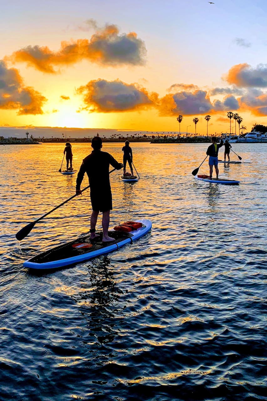 Paddle Board Sunset Glow Tour Airbnb