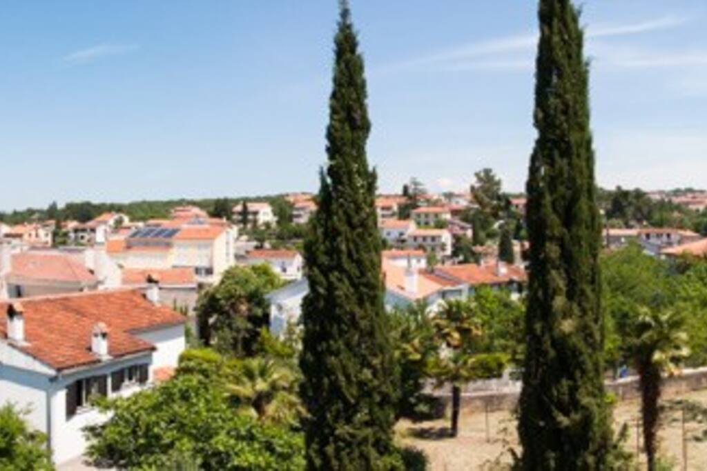 Panoramablick