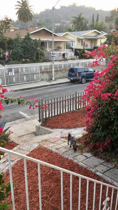 Safe and beautiful neighborhood.