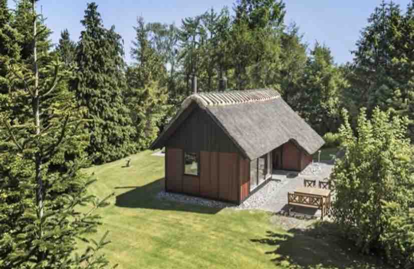 A charming holiday house with a thatched roof is nestled among tall trees on a spacious, private lawn. Outdoor seating is available on a patio, surrounded by greenery, creating a serene setting for relaxation and enjoyment.