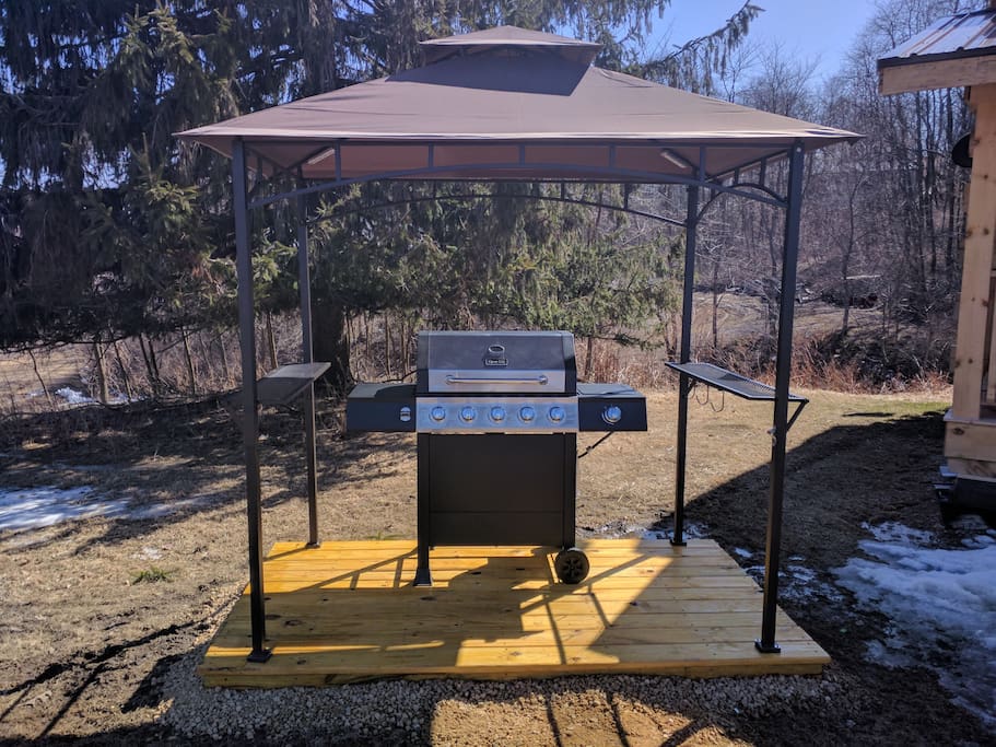 Covered gas grill