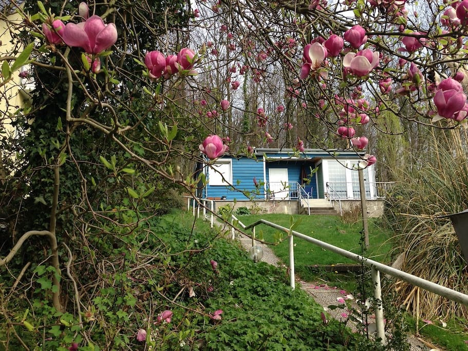 So sieht das kleine Ferienhaus im Frühjahr aus.
