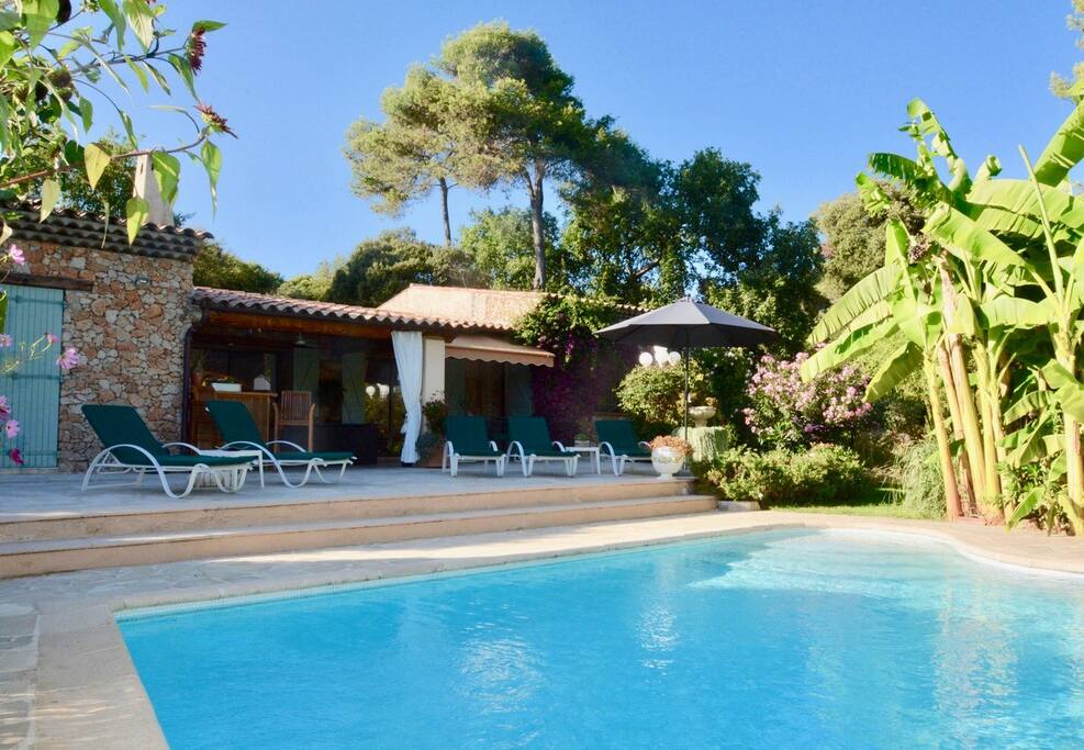 Pool Area from Other Side