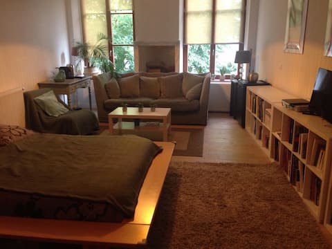 Popular Airbnb listing: Suite in hypercenter, 3-min walk to train station. in Thionville