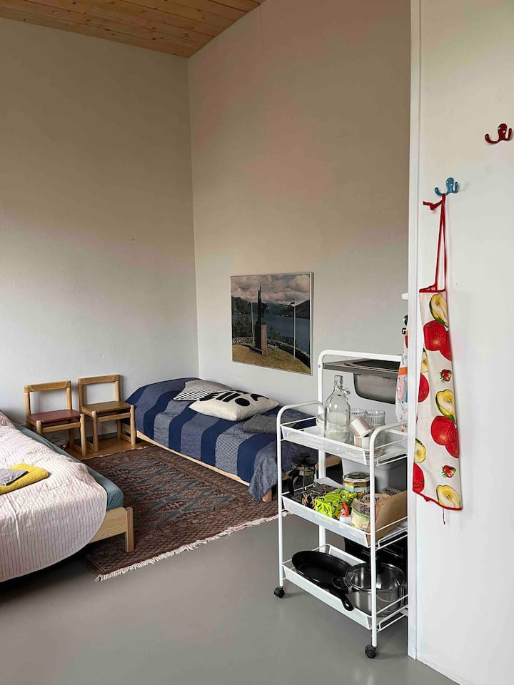 Studio In Quiet Central Location With Patio - Reykjavik