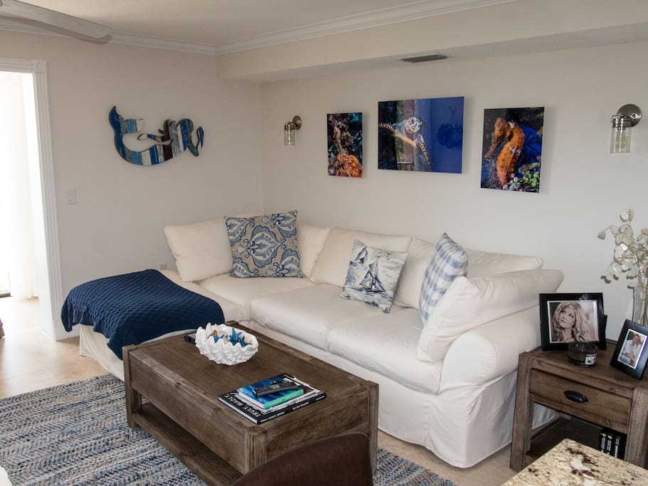comfy pottery barn sofa