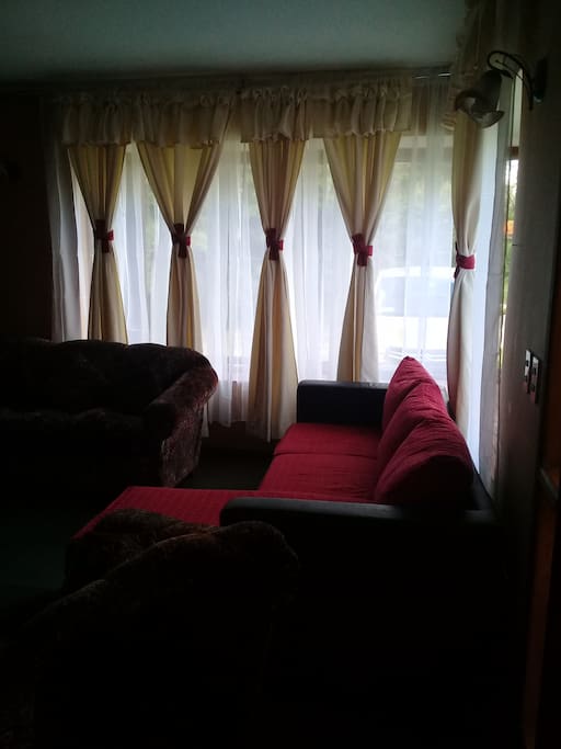 Living, espacio en comun, donde podras ver TV.