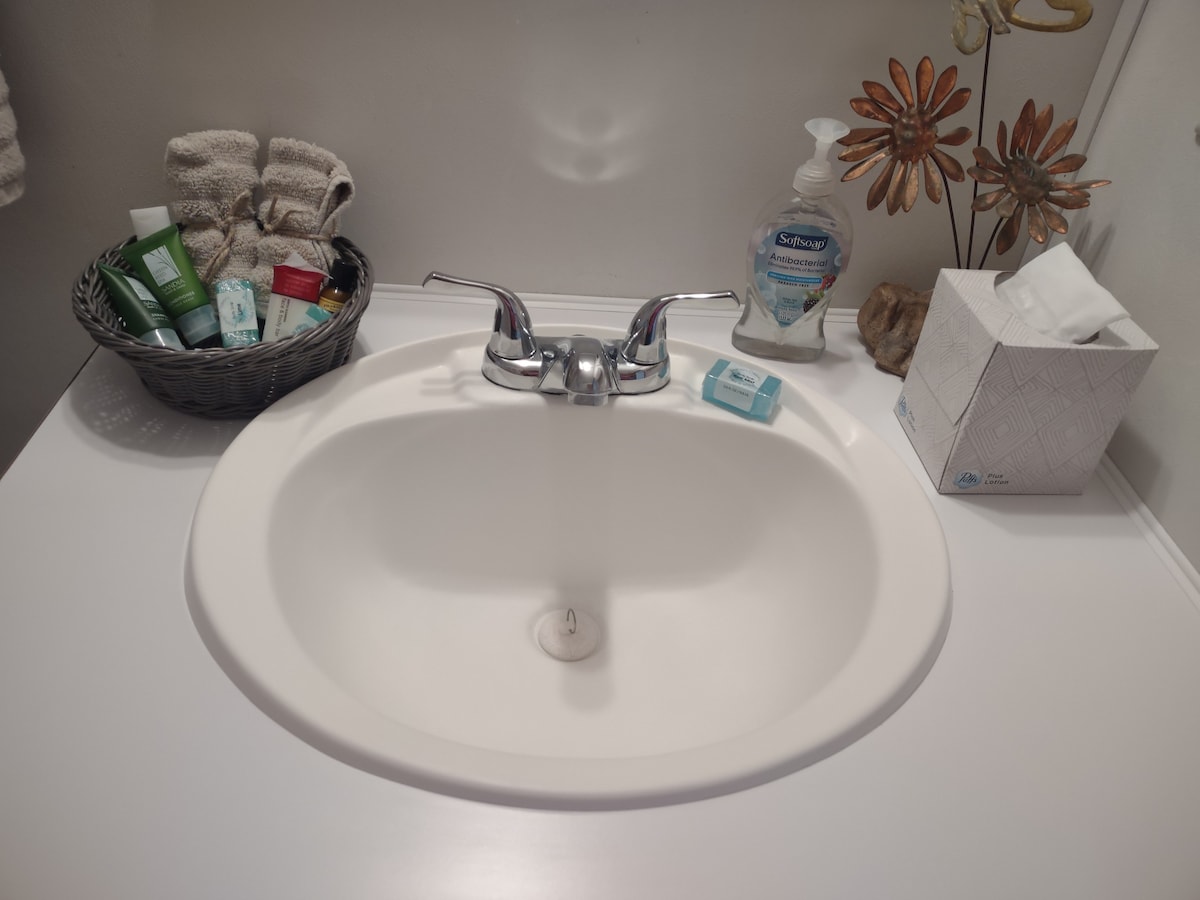A neatly arranged bathroom sink features a round basin with a shiny faucet. Personal care products are displayed in a small basket, alongside a pump bottle and a box of tissues. Fresh towels are visible, adding to the tidy appearance.