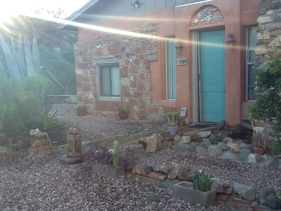 Fig trees, Royal Agave, cactus garden oh My
