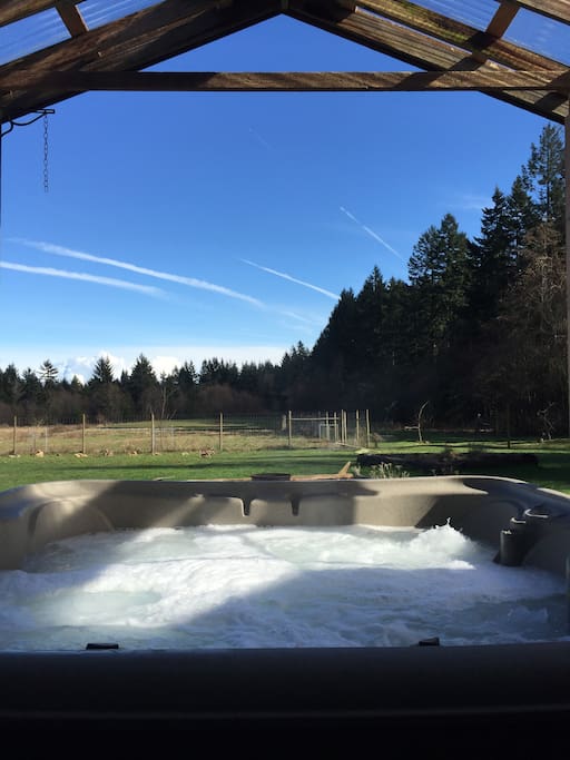 Hot tub overlooking back pasture