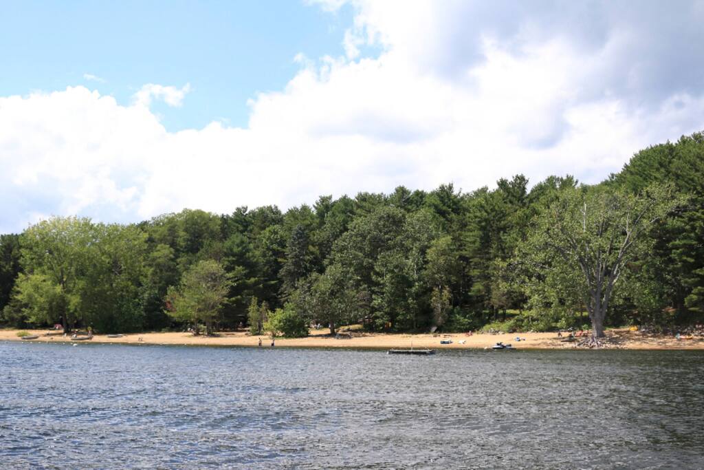 Our shoreline from a boat