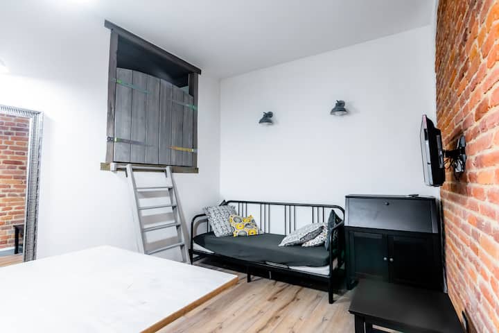 Rustic Apartment In The Historical Center - Timișoara