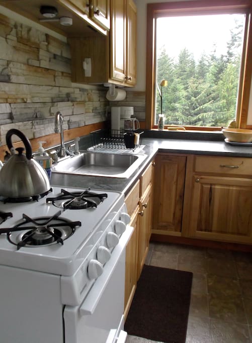 Cabin kitchen