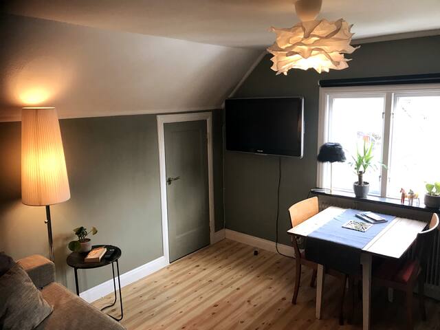 Comfy studio apartment, walking distance to city.