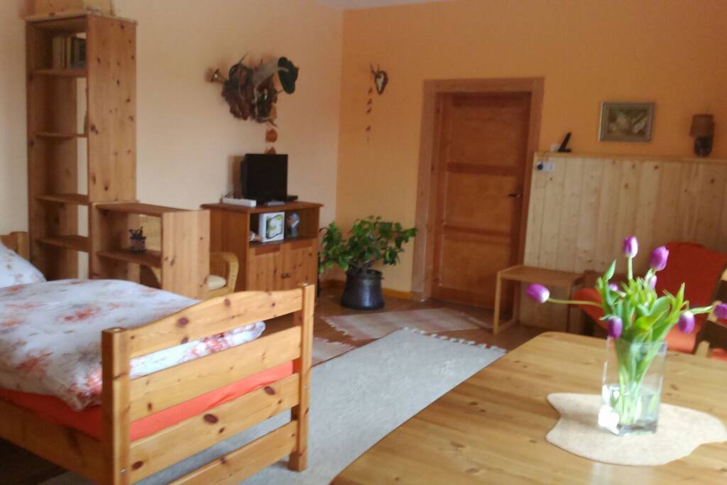 25qm großes Wohn- und Schlafzimmer