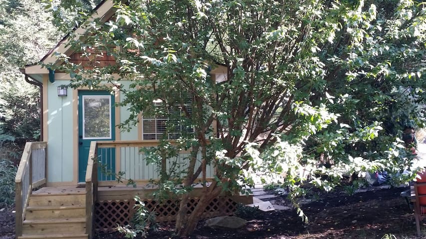 Little Cabin in the Woods