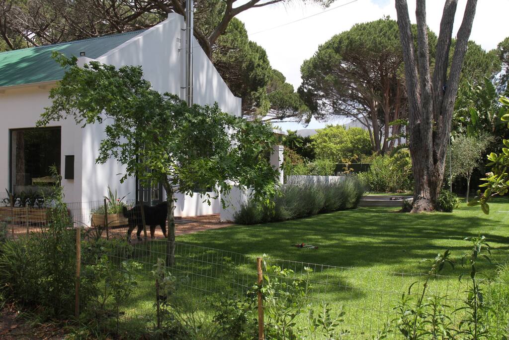 house beautifully located in indigenous garden