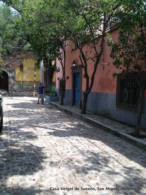 Casa Contenta is on a beautiful tree lined street.