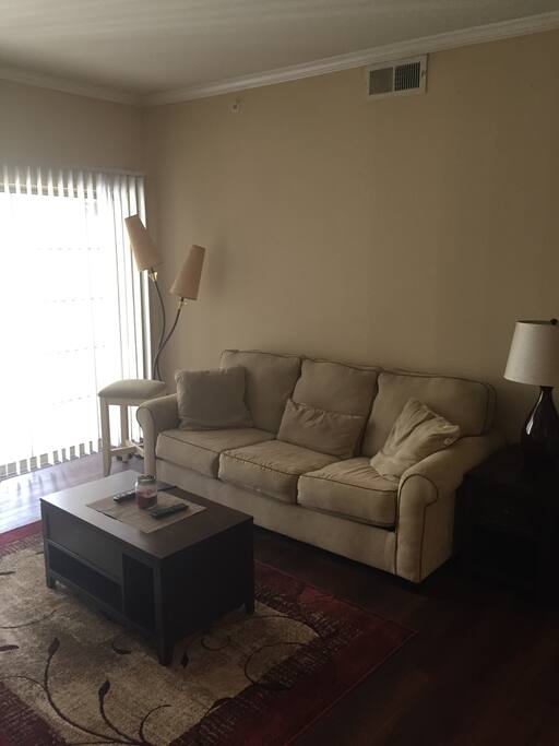 Very Comfy Sofa that converts into Queen sized bed. Patio also very nice.