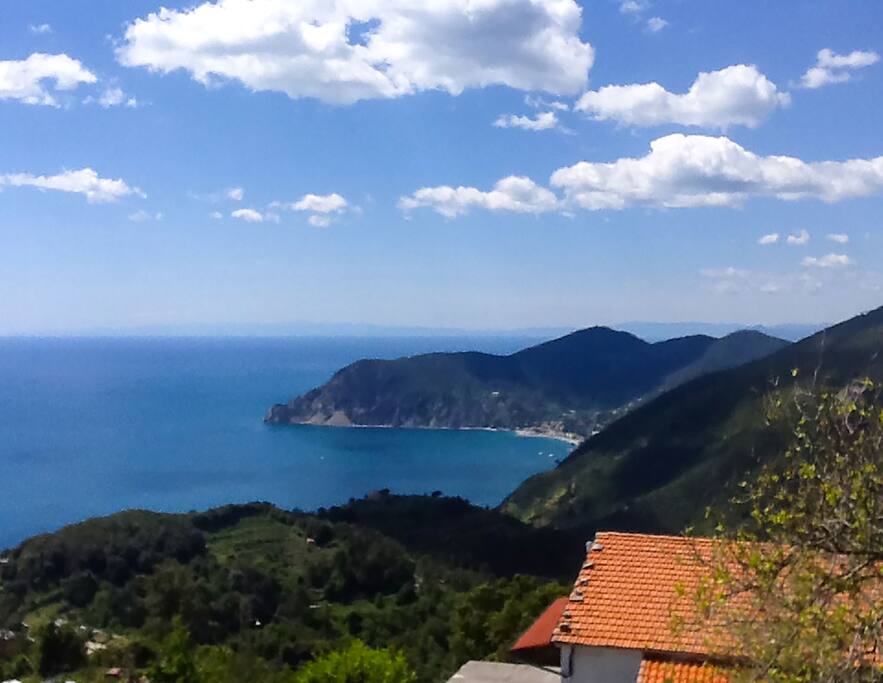 vista