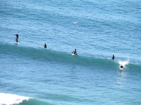Top Surfing Spot-K55/Rosarito/La Sierra