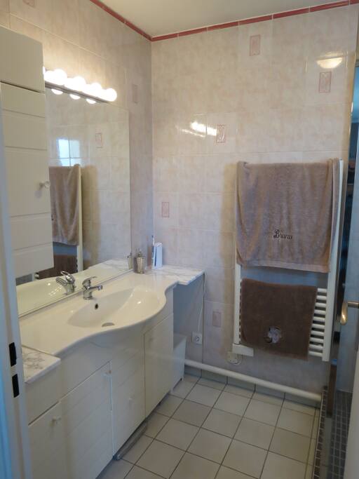 Salle de bain privée / Private Bathroom