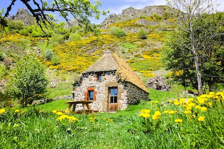 Thatched cottage surrounded by nature