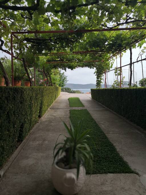 Sea view from a terrace