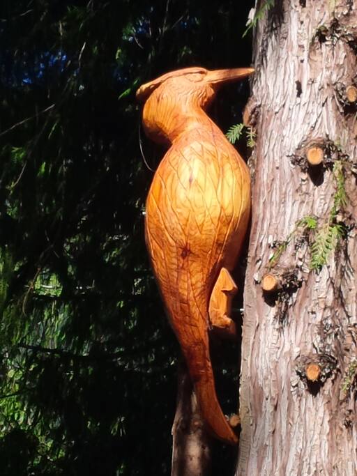 This is our mascot, Knotty. He is sitting in the tree outside.