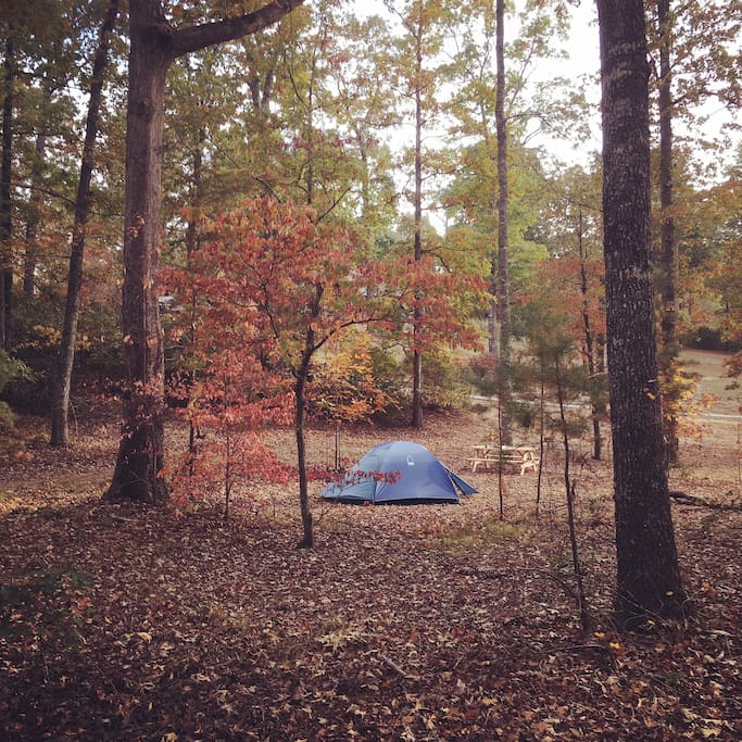 The angle of the campsite showing the house on the other side of the trees, so you can see how close our largest, easiest to get to campsite is to the house.