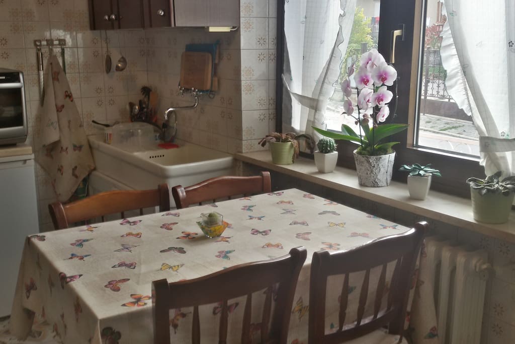 Cucina accogliente e luminosa