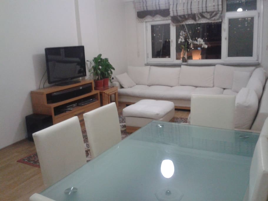 The saloon
