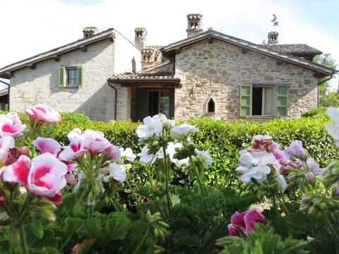 Apartment in Italian farmhouse with large pool