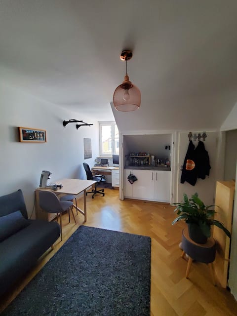 Top performing Airbnb: Super apartment for Oktoberfest in Schwanthalerhöhe