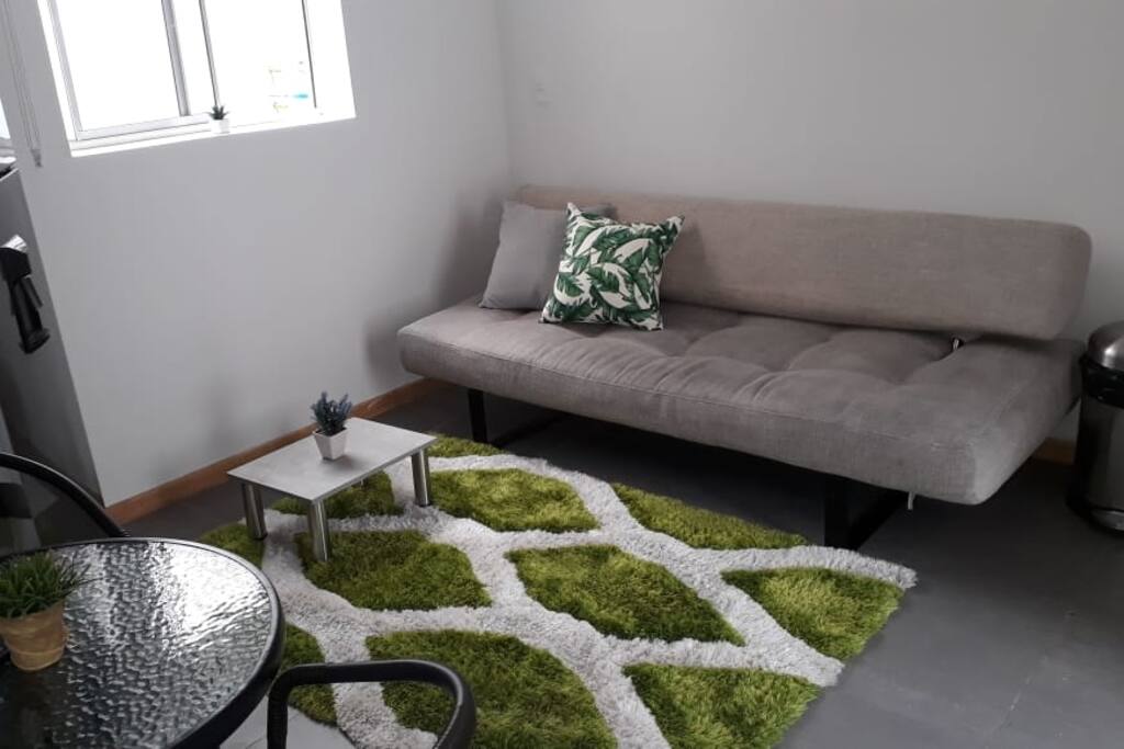 Sofa bed. Window to patio.