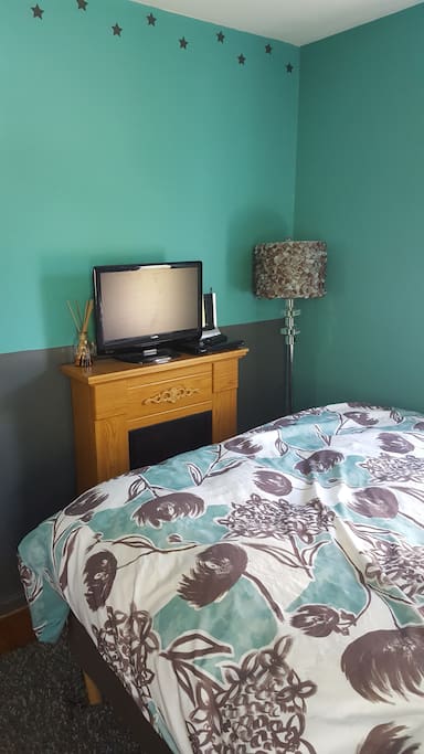 TV and DVD player in your room along with a fancy faux fireplace.