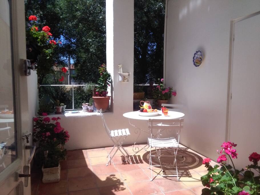 Lower terrace in morning sun, with the sound of the Aude river below.