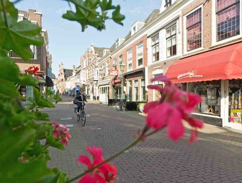 Discover the secret of The Hague | free parking