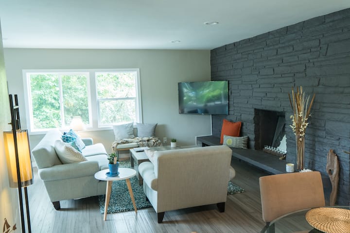 Veľká 55-palcová TV so službami Netflix, Hulu, Prime a milión ďalších vecí, ktoré môžete sledovať!