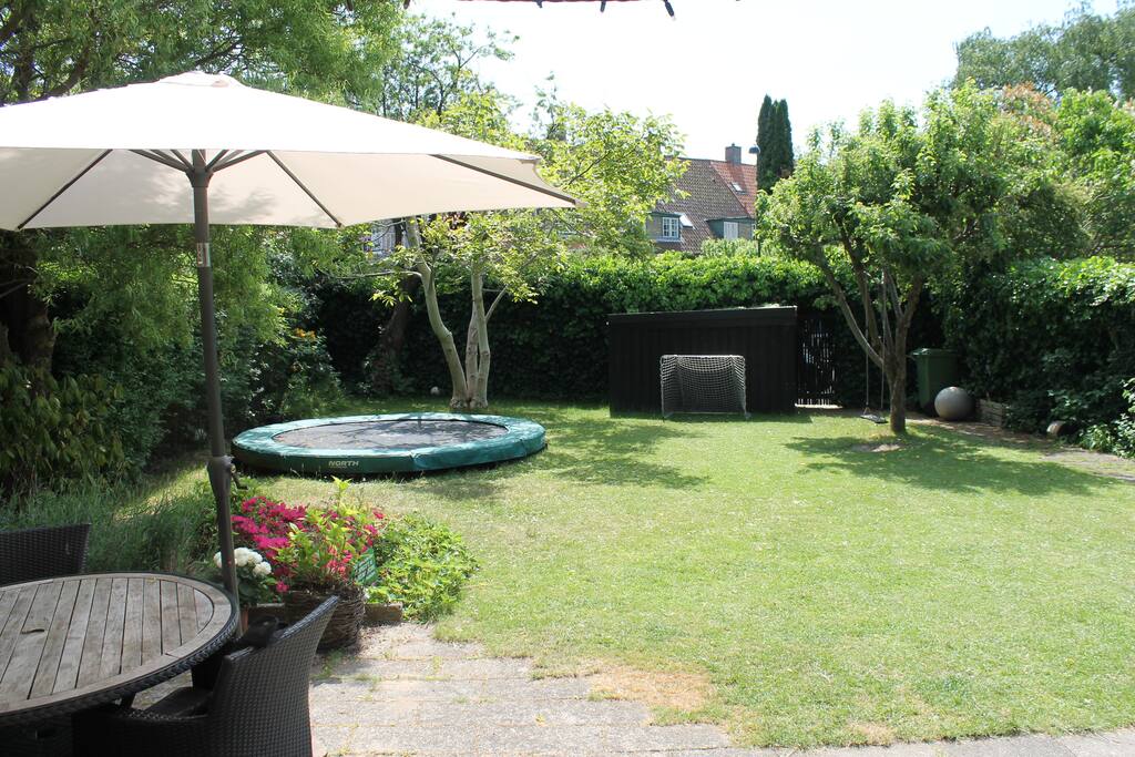 The garden