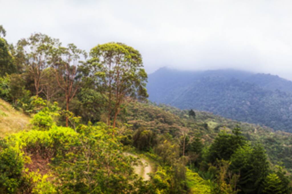 View from the house deck