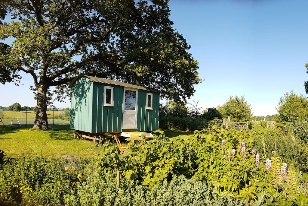 Shepherd's hut in grounds