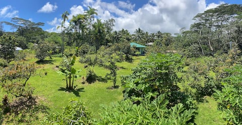 Avocado Acre (Family friendly-2 adults/3 kids max)