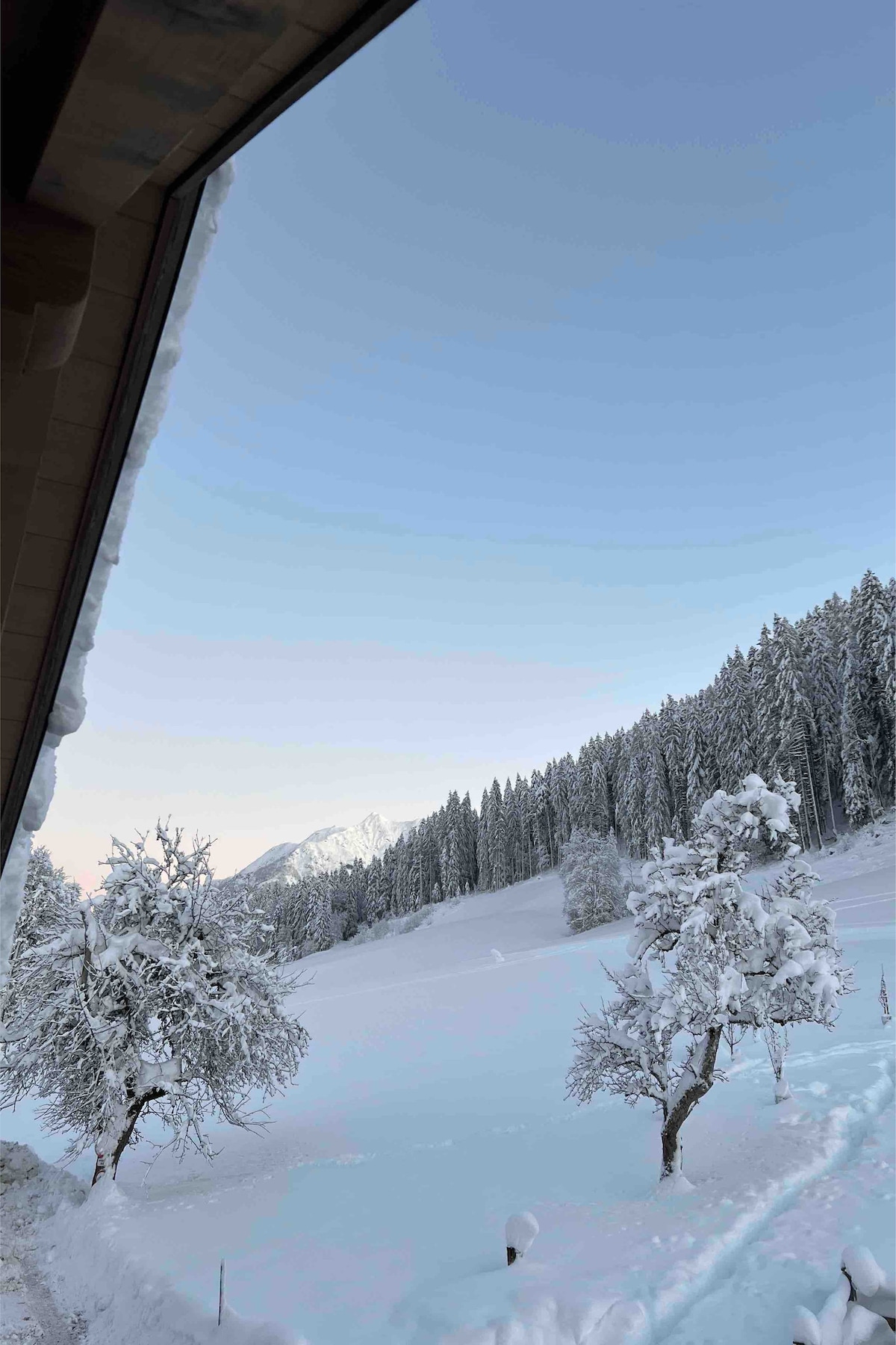 A winter landscape is visible from the window, featuring snow-covered trees and a serene white expanse. Majestic mountains can be faintly seen in the distance, with clear blue skies above. The scene evokes a sense of tranquility in a quiet, natural setting.