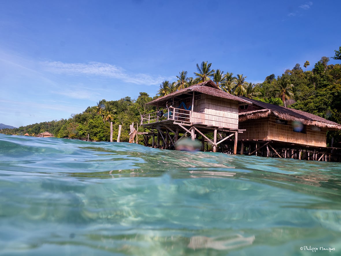 A stilted wooden structure is situated along the shoreline, surrounded by lush greenery and palm trees. The vibrant blue water reflects the clear sky, creating a serene atmosphere. The house features a thatched roof and large open spaces, inviting connection with nature.